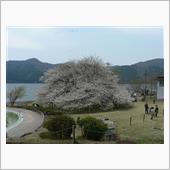 仙石原【箱根園】御殿場（H2 ...