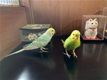 謹　賀　新　年