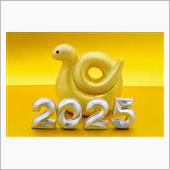 Snake Year 202 ...