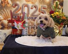 謹賀新年　令和７年　元旦