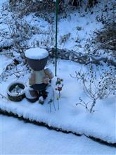 3日の朝は雪でした