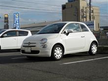 メンテナンスは大事...FIAT500　エンジンオイル＋エレメント交換　MOTUL8100X－cleangen2