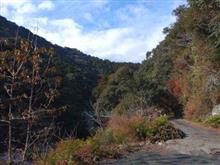 和歌山県道224号どうなってる？