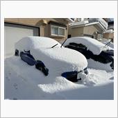 新年と雪