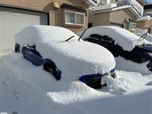 新年と雪