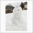 １月上旬のこと　雪のワガママ
