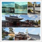 バスツアーの続きは平等院へ
