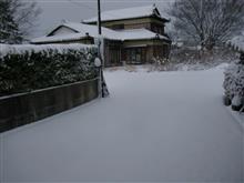 今冬(2024-2025年)の、除雪機･初出動