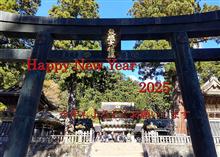 今年は年賀状さぼっちゃった
