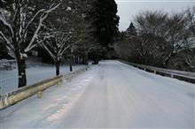 2025/1/11　雪の英彦山～おうとう桜街道のイルミネーション