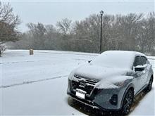  Winter storm in Dallas 🤧