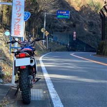 2025年の走り初めに行って来ました