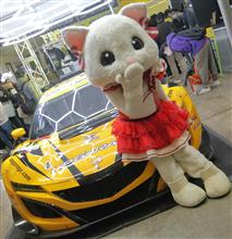 TOKYO AUTO SALON 2025 追記