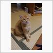 トラコちゃんに、保険会社の社員がメロメロ・・・