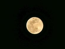 今宵はウルフムーン🌕
