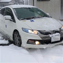 何年かぶりにどうもこんにちわ　　　　現在　中の人入院ちう