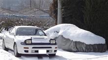 雪を求めて～！
