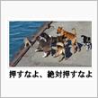 いつのまにか２０２５。。。ダイエット１１年と256日目