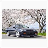 GTS-Rと桜　2020