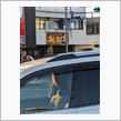 草加市中根 らーめん雅狼 再訪