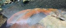 温泉・飯・温泉