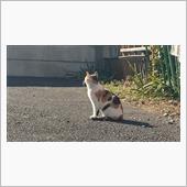 レガシーを点検して来たんじゃ〜
