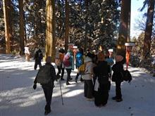 遅ればせの今年初登山・雪の金剛山へ
