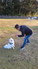 千葉県 野田市の RAMBER DOG FIELD にリピートで遊びに行って来ました‼️