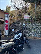 鉄馬ちゃんと下見
