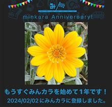 祝・みんカラ歴1年！