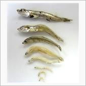 小魚のくせに