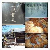 立春 　日向ぼっこサイクリン ...