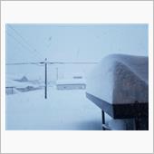 予報の倍降りました⛄️