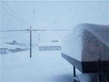 予報の倍降りました⛄️
