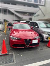 ジュリア購入