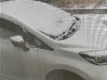 雪❄️ですよー