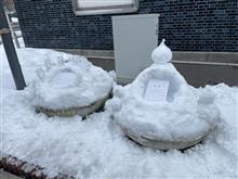 雪祭り♪