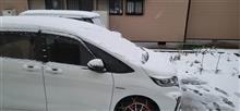 雪が降り続きました