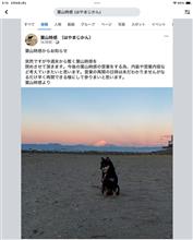 しばらく葉山でのお昼ごはんはありません・・・