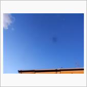 ２月６日　晴れても寒そうな木 ...