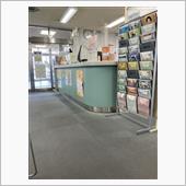 ハロワ〜竹伐採