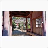 立春の恵方参り