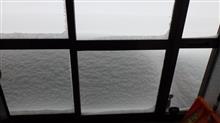 大雪 大雪