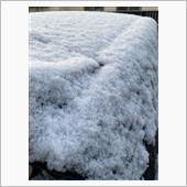 昨夜降った雪