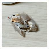 介抱しよう