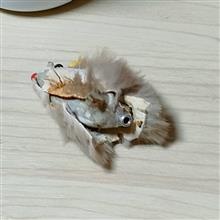 介抱しよう