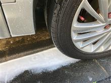 春の陽気に輝くエンブレム✨