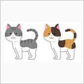 猫「はるぽん」無事に退院して ...