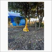 2月7日　877走行会in  ...
