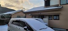 再び大雪